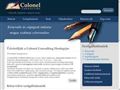 http://colonelconsulting.hu ismertető oldala